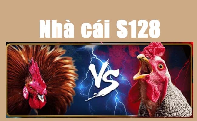Đá gà S128vn - Sân chơi uy tín và chất lượng nhất hiện nay