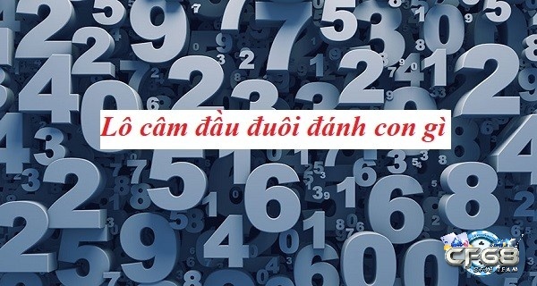 Lô đầu câm đánh con gì - Giải mã chi tiết, chính xác cùng CF68