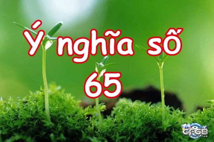 Đề về 65 mai đánh lô gì? Con số 65 và các ý nghĩa của nó