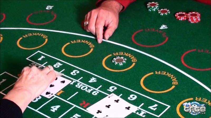 Những lựa chọn cược cơ bản trong bài baccarat