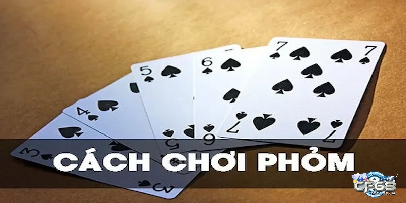 Những chuẩn bị cơ bản để tham gia đánh bài phỏm