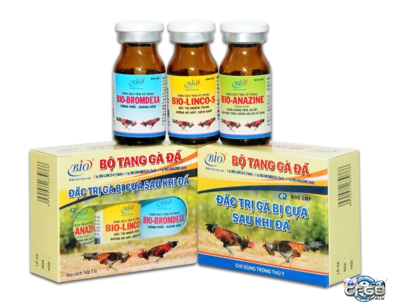 Các loại thực phẩm bổ sung hỗ trợ gà đá duy trì sức khỏe, tăng cường thể lực và cải thiện khả năng đề kháng