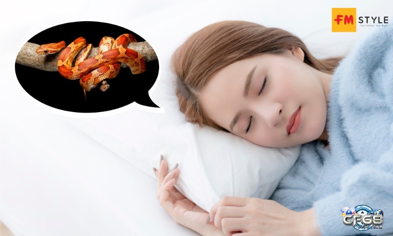 Nằm mơ thấy rắn điềm báo gì? Giải mã chi tiết giấc mơ cùng cf68